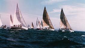 race1.jpg(12k)