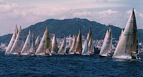 race2.jpg(14k)