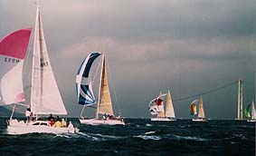 race3.jpg(11k)